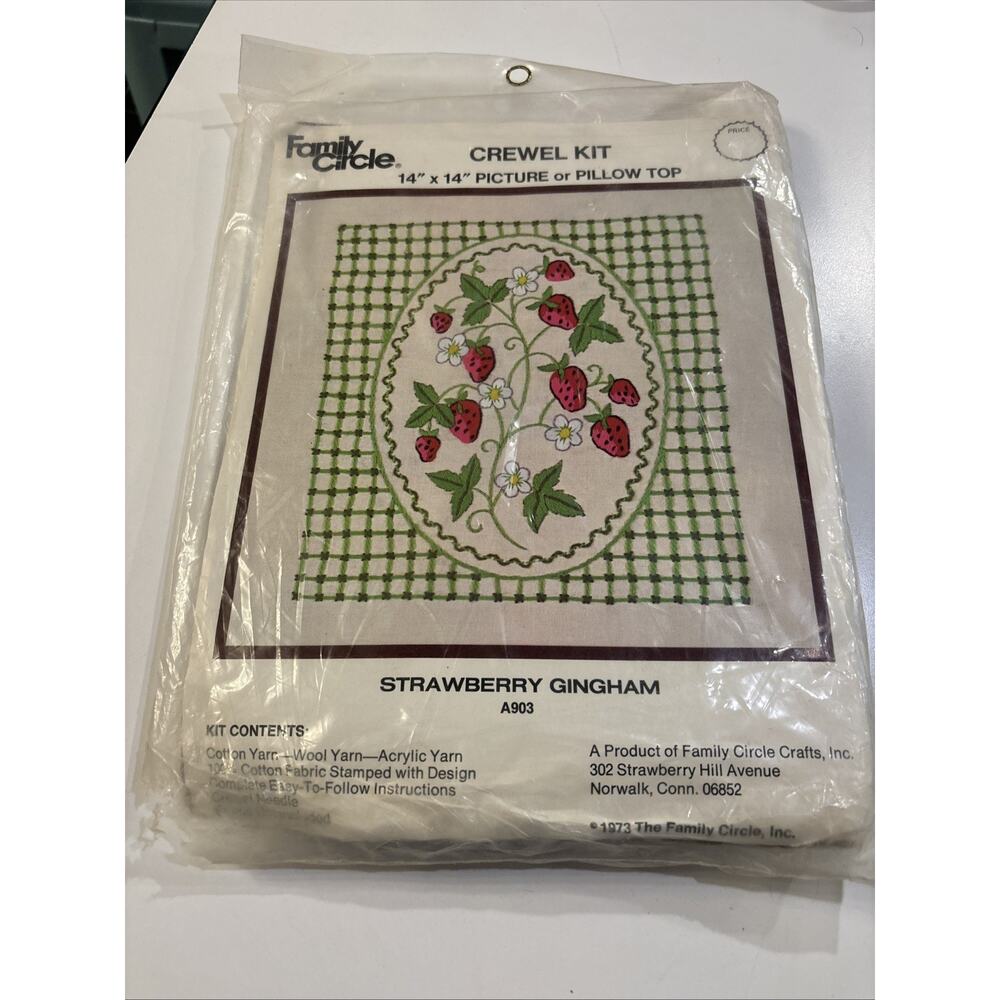 73 Family Circle Crewel Kit A903 Strawberry Gingham 14x14" Picture or Pillow Top